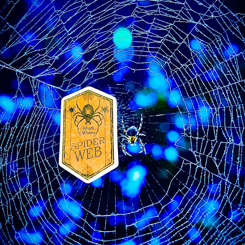 Black Widow Web Witchy Sorceress Supreme Potion B0ttle Label Sticker